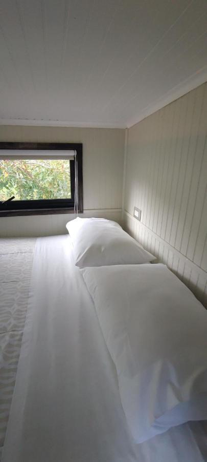 Cabanas Alto Bosque Пукон Екстер'єр фото